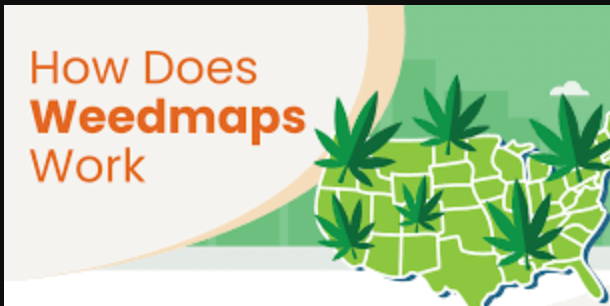 How Does Weedmaps Work: