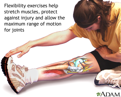 What is Flexibility Exercises