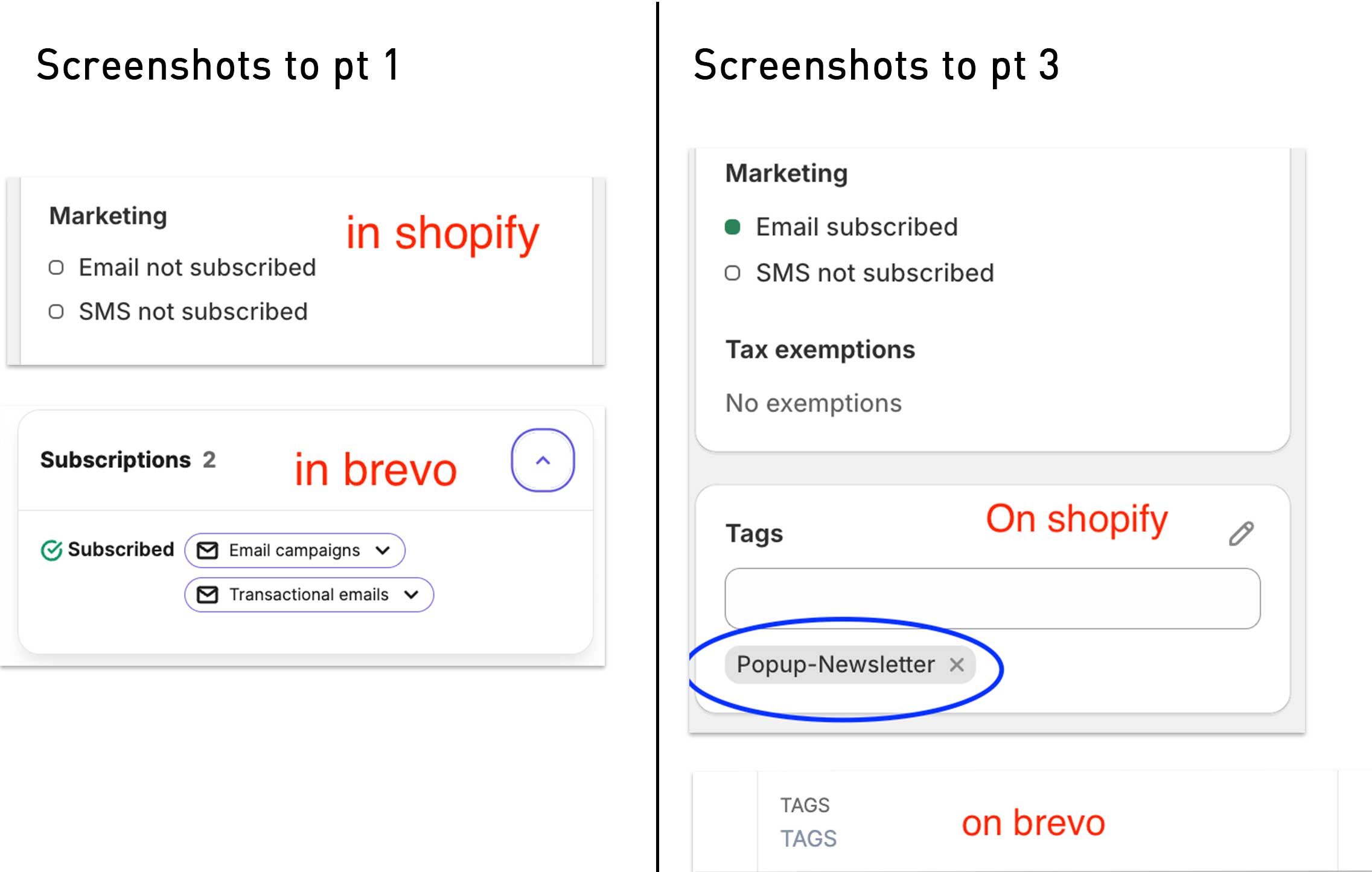 Does Brevo Integrate With Shopify